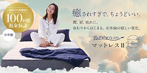 雲のやすらぎプレミアムマットレスII