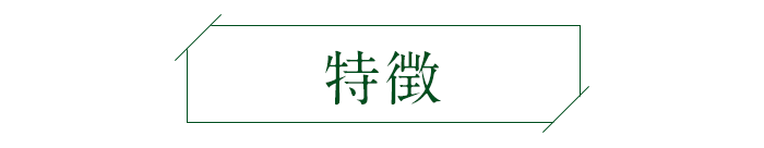 おすすめポイント
