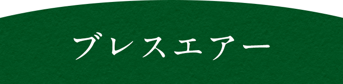 ブレスエアー
