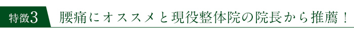 腰痛にオススメと現役整体院の院長から推薦！