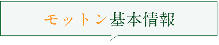 モットン基本情報