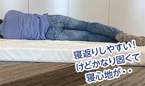 モットン