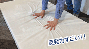 モットン
