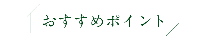 おすすめポイント