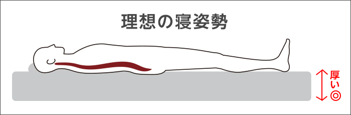 理想の寝姿勢の図